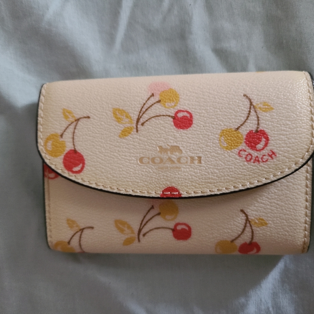 Coach key chain case